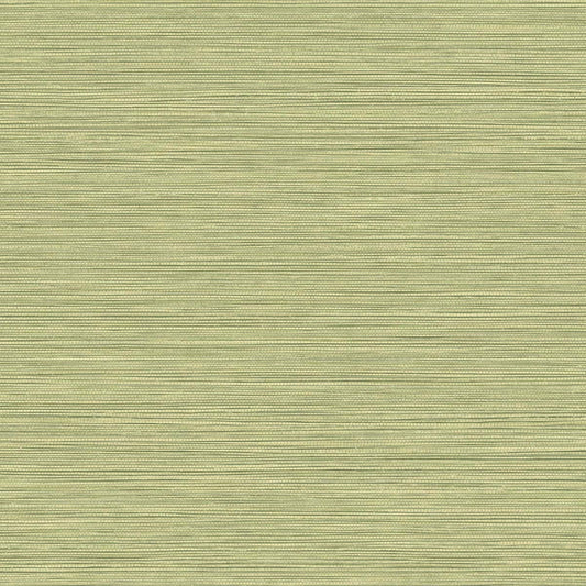 Seabrook Designs Texture Gallery Grasslands Faux Grasscloth Contemporary Green Matte Sidewall - BV30104