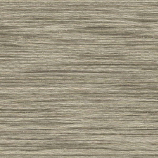 Seabrook Designs Texture Gallery Grasslands Faux Grasscloth Contemporary Grey Matte Sidewall - BV30106