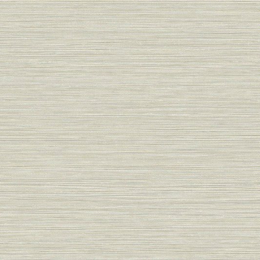 Seabrook Designs Texture Gallery Grasslands Faux Grasscloth Contemporary Grey Matte Sidewall - BV30107