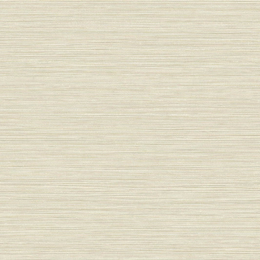 Seabrook Designs Texture Gallery Grasslands Faux Grasscloth Contemporary Off-White Matte Sidewall - BV30115