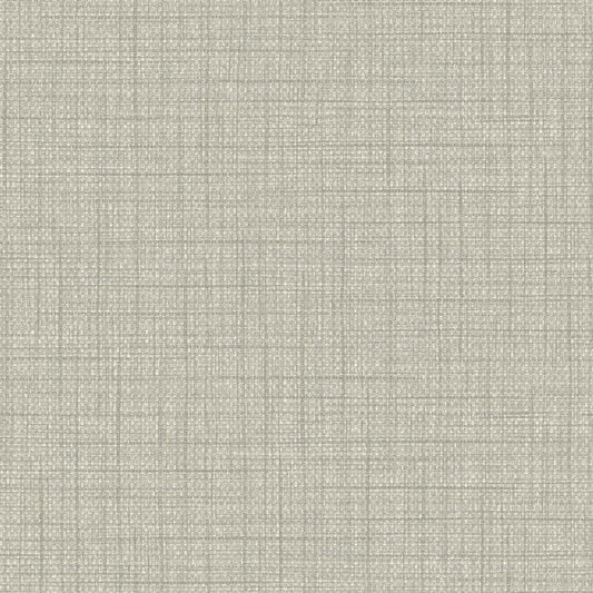 Seabrook Designs Texture Gallery Woven Raffia Faux Grasscloth Contemporary Grey Metallic Sidewall - BV30308