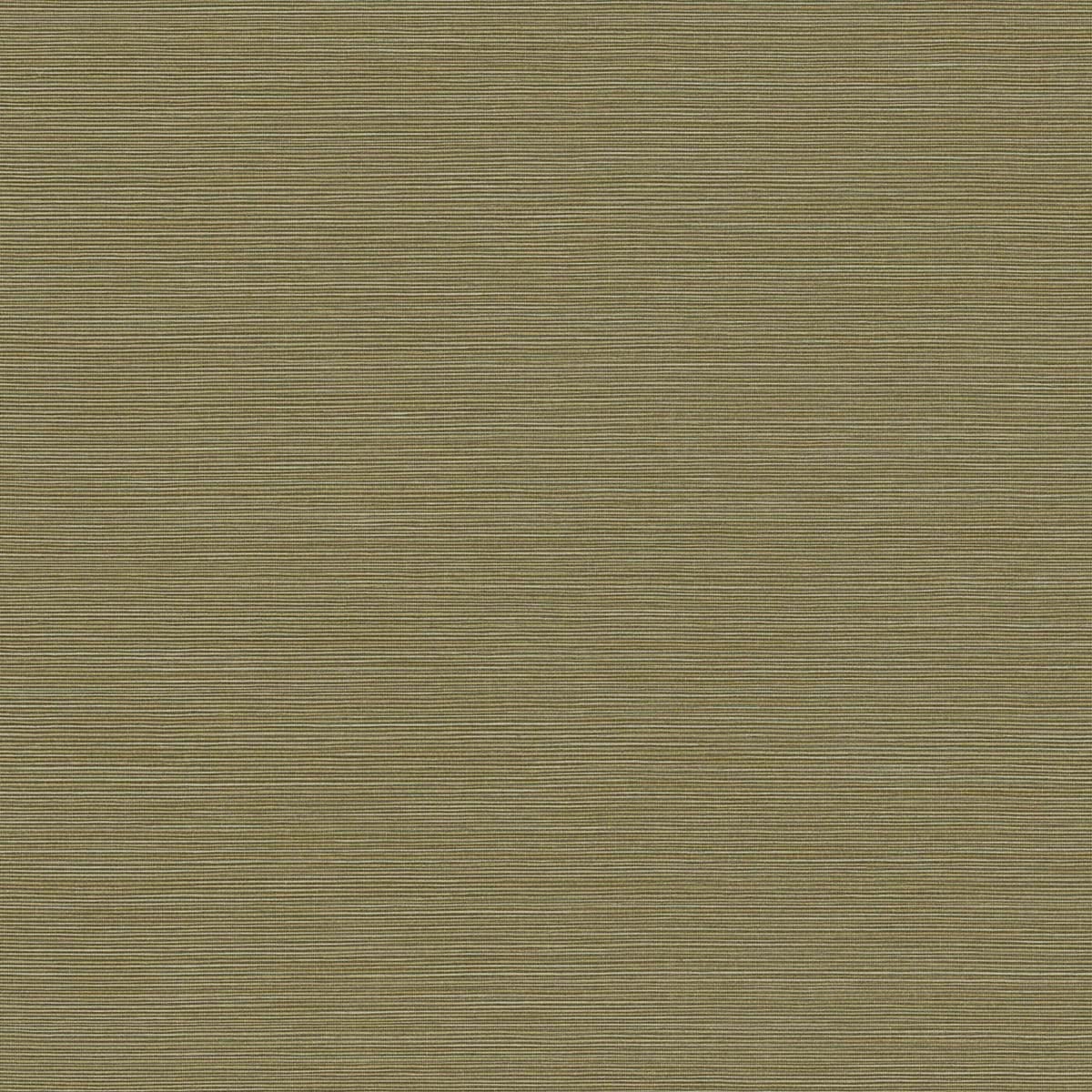 Seabrook Designs Texture Gallery Coastal Hemp Faux Grasscloth Contemporary Green Matte Sidewall - BV30414