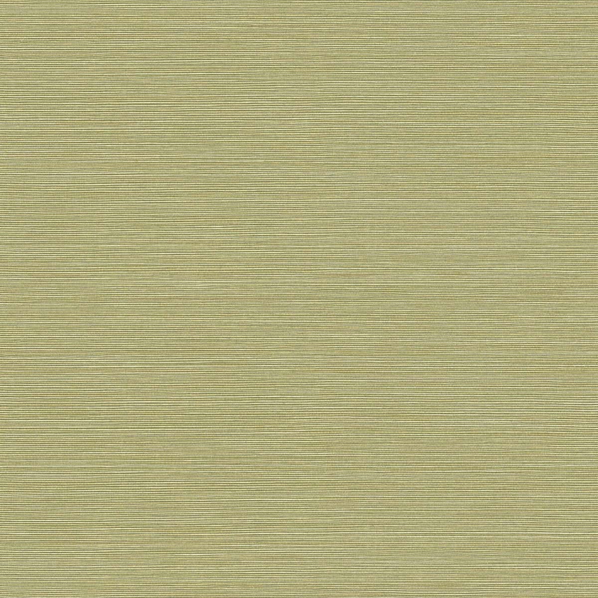 Seabrook Designs Texture Gallery Coastal Hemp Faux Grasscloth Contemporary Green Matte Sidewall - BV30424