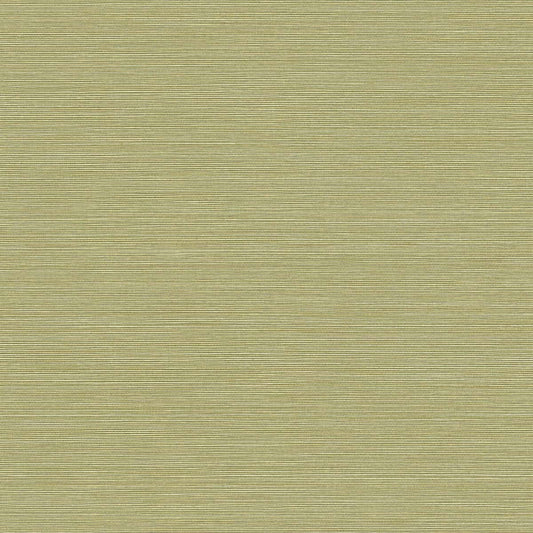 Seabrook Designs Texture Gallery Coastal Hemp Faux Grasscloth Contemporary Green Matte Sidewall - BV30424