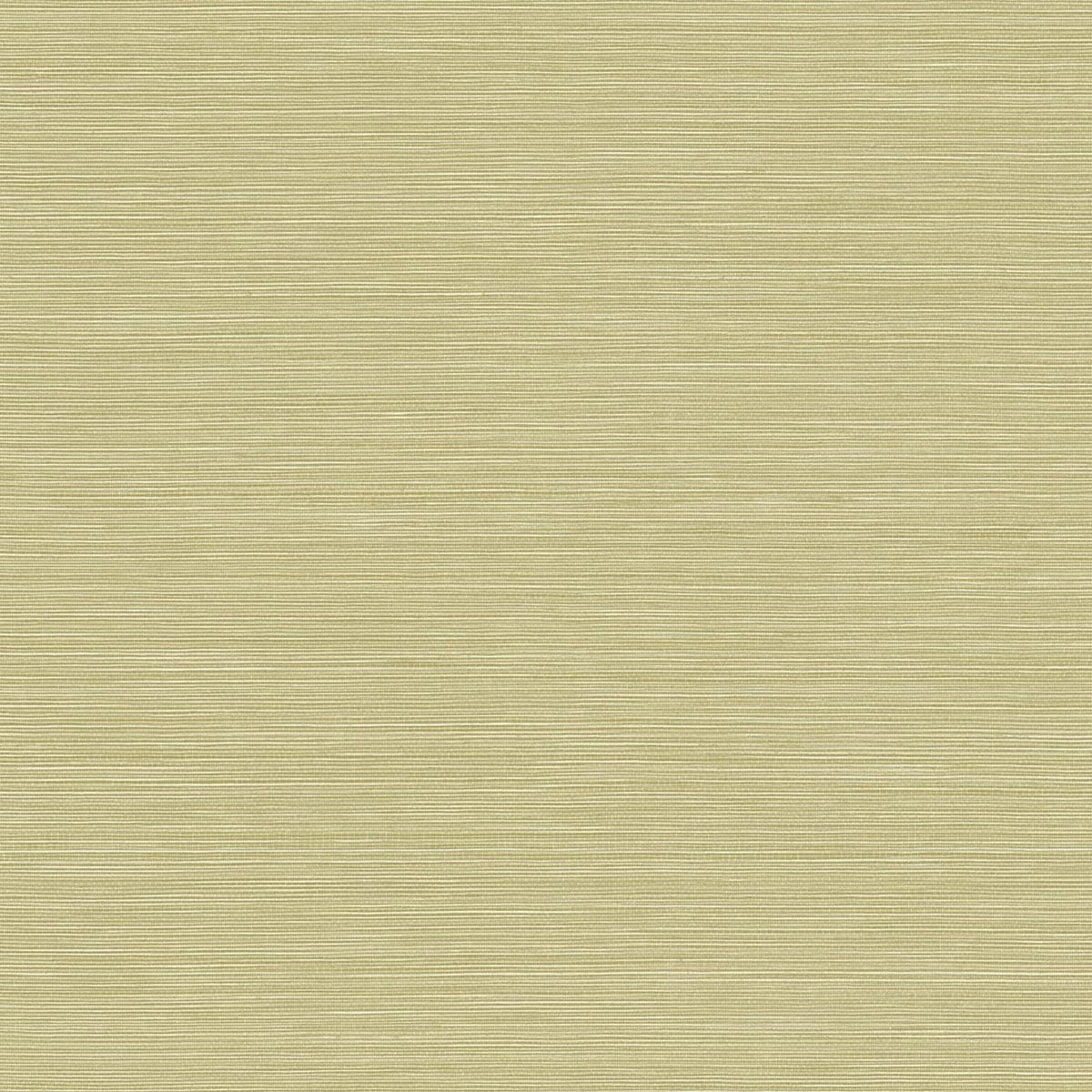 Seabrook Designs Texture Gallery Coastal Hemp Faux Grasscloth Contemporary Green Matte Sidewall - BV30454