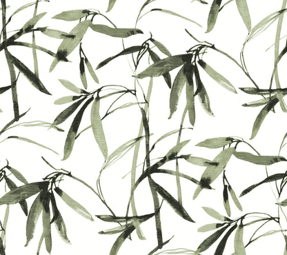 York Wallcoverings Earthy Tones Bamboo Ink Green & Black Wallpaper Botanical Botanical Green & Black   - BW3842