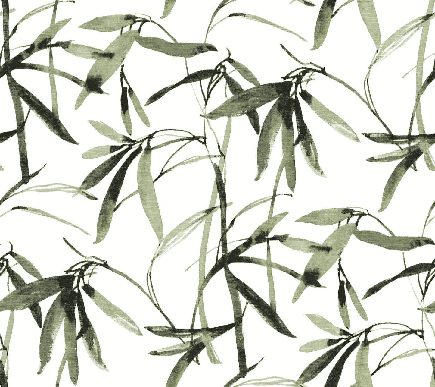 York Wallcoverings Black and White Resource Library Bamboo Ink Green and Black Wallpaper  Botanical Greens  Wallpaper - BW3842