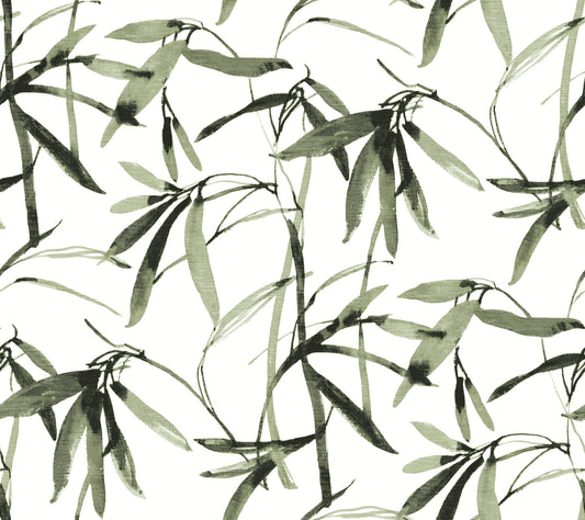 York Wallcoverings Black and White Resource Library Bamboo Ink Green and Black Wallpaper  Botanical Greens  Wallpaper - BW3842