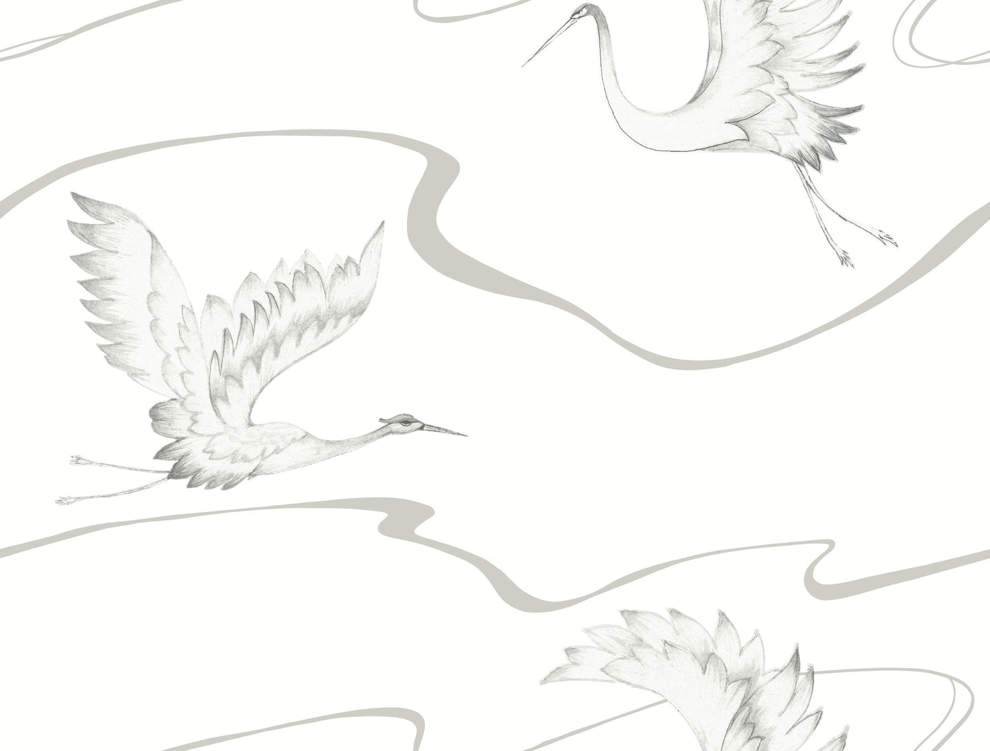 York Wallcoverings Black and White, III Soaring Cranes White and Silver Wallpaper  Animals Whites and Off-Whites  Wallpaper - BW3873