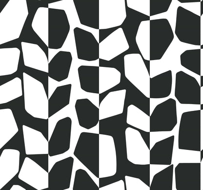 York Wallcoverings Black & White, III Primitive Vines Black & White Wallpaper Geometrics Geometrics Black & White   - BW3893