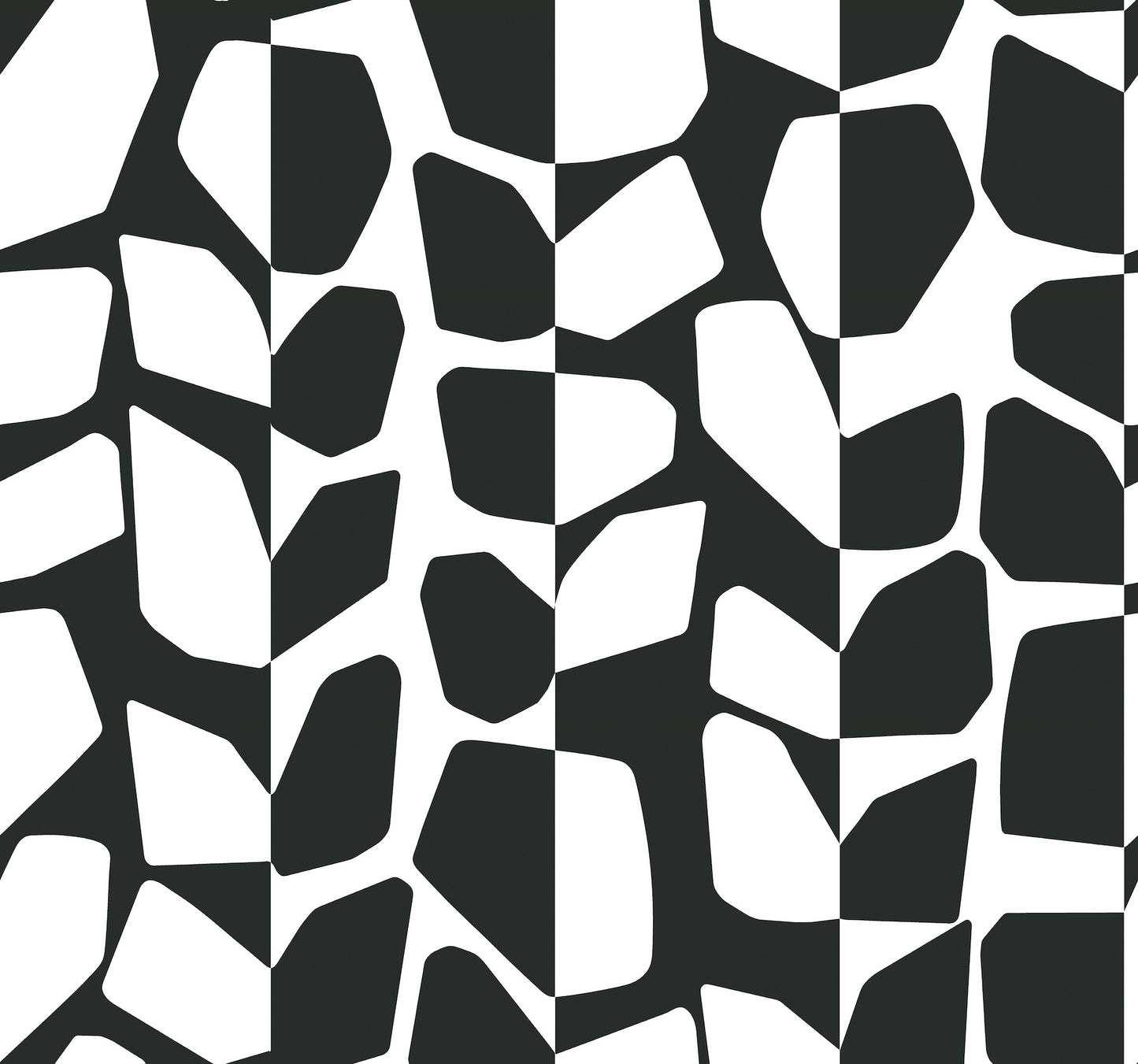 York Wallcoverings Black and White, III Primitive Vines Black and White Wallpaper  Geometrics Whites and Off-Whites  Wallpaper - BW3893