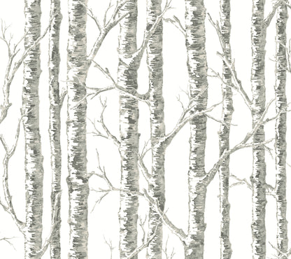 York Wallcoverings Beige & Neutrals Paper Birch White & Grey Wallpaper Botanical Botanical White & Grey   - BW3901