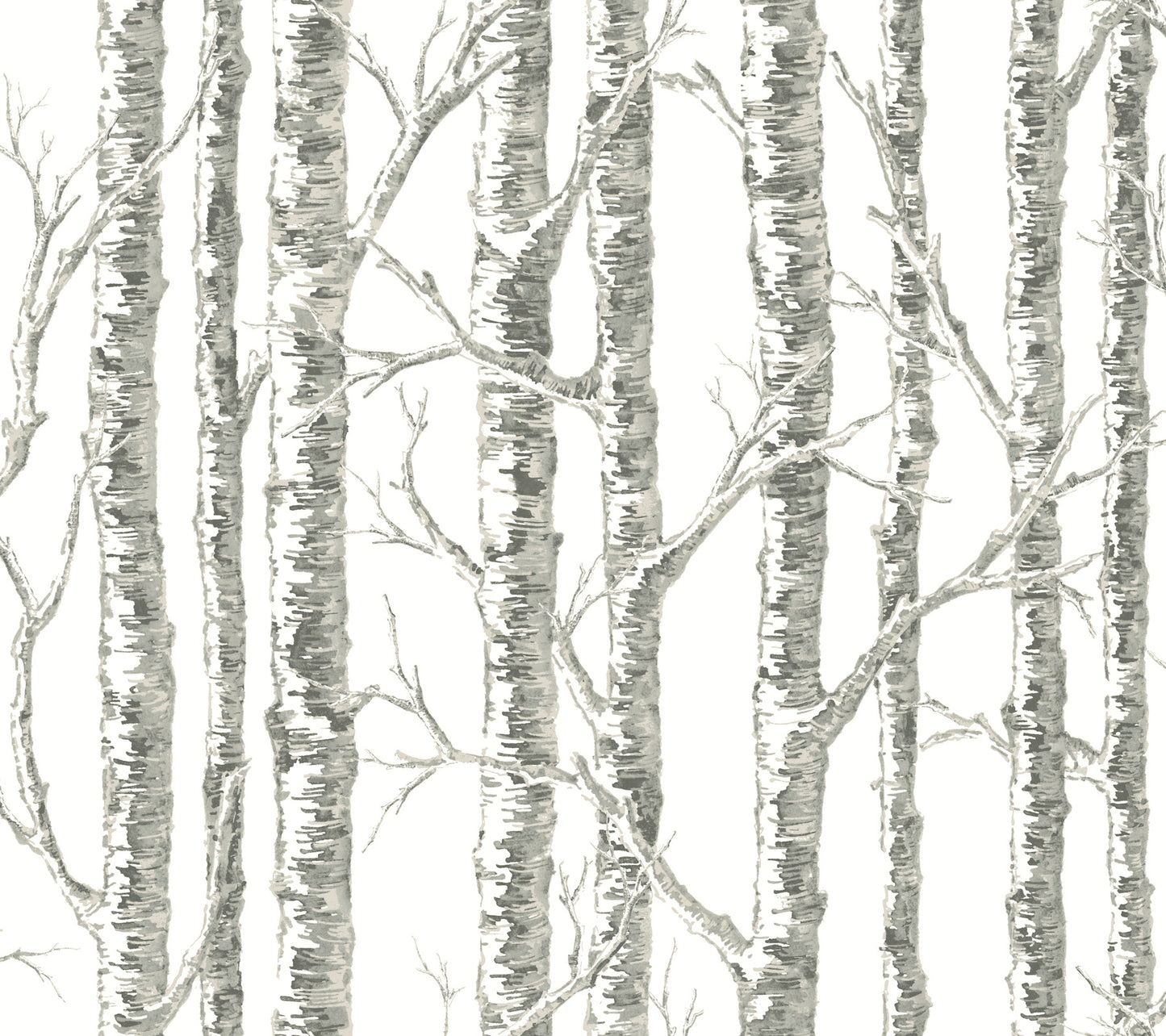 York Wallcoverings Beige and Neutrals Paper Birch White and Grey Wallpaper  Botanical Whites and Off-Whites  Wallpaper - BW3901
