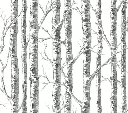 York Wallcoverings Black & White, III Paper Birch Black & White Wallpaper Botanical Botanical Black & White   - BW3902