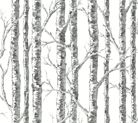 York Wallcoverings Beige and Neutrals Paper Birch Black and White Wallpaper  Botanical Whites and Off-Whites  Wallpaper - BW3902
