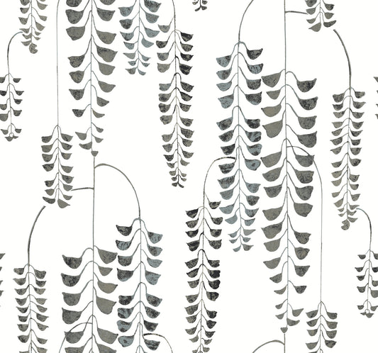 York Wallcoverings Black and White Resource Library Deco Wisteria Black Metallic Wallpaper  Botanical Blacks  Wallpaper - BW3943