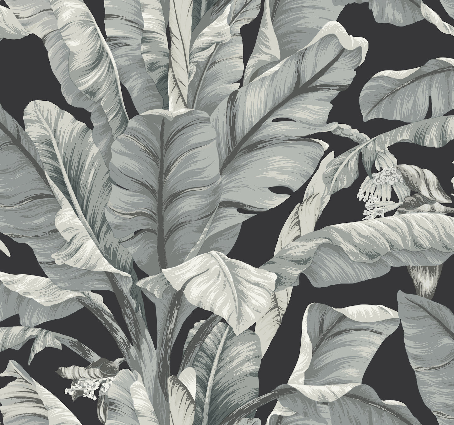 York Wallcoverings Black and White, III Banana Leaf Black and White Wallpaper  Tropical Whites and Off-Whites  Wallpaper - BW3971