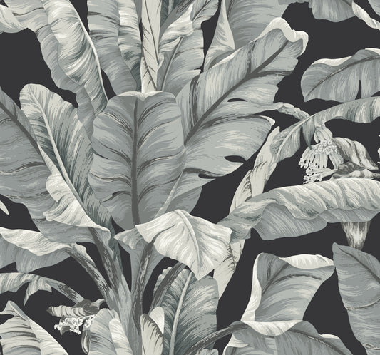 York Wallcoverings Black and White, III Banana Leaf Black and White Wallpaper  Tropical Whites and Off-Whites  Wallpaper - BW3971