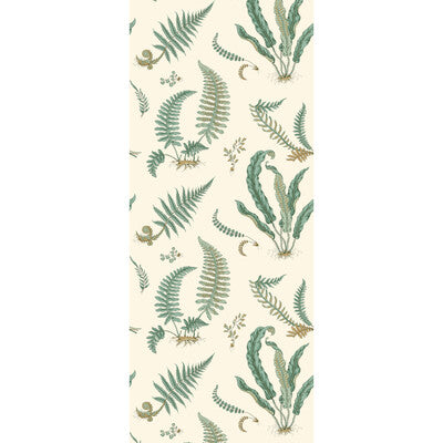 G P & J BAKER FERNS --BOTANICAL & FLORAL- LONG GRAIN   - BW45122.4.0