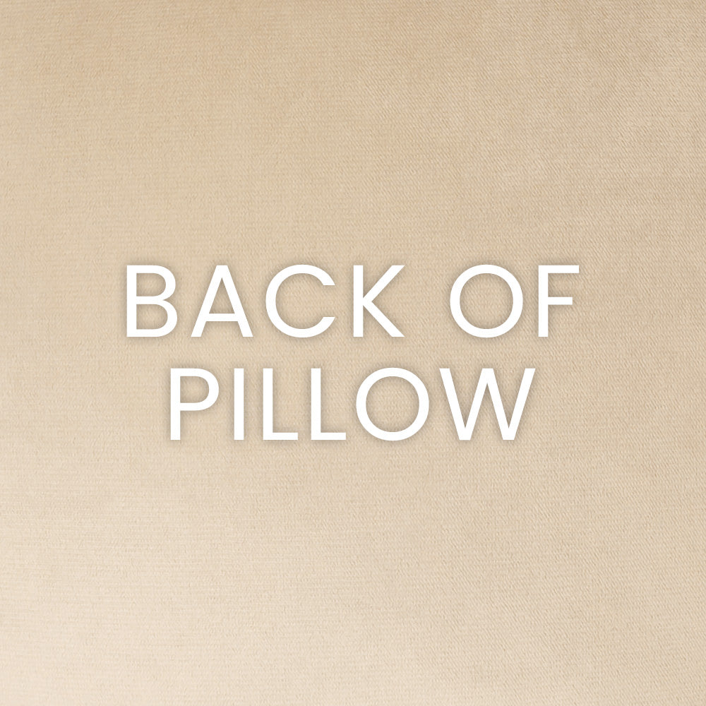 D.V. KAP HOME   24" x 24" Dover Pillow - Amber Glam, Transitional     - 4050-A-2424