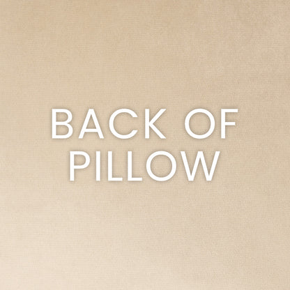 D.V. KAP HOME   24" x 24" Dover Pillow - Amber Glam, Transitional     - 4050-A-2424