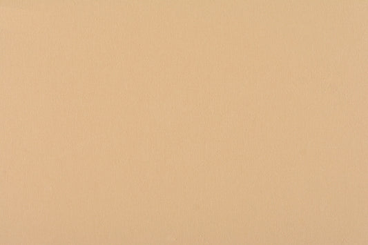 SCALAMANDRE  CANVAS FABRIC SAND   - C5 0102PEBB