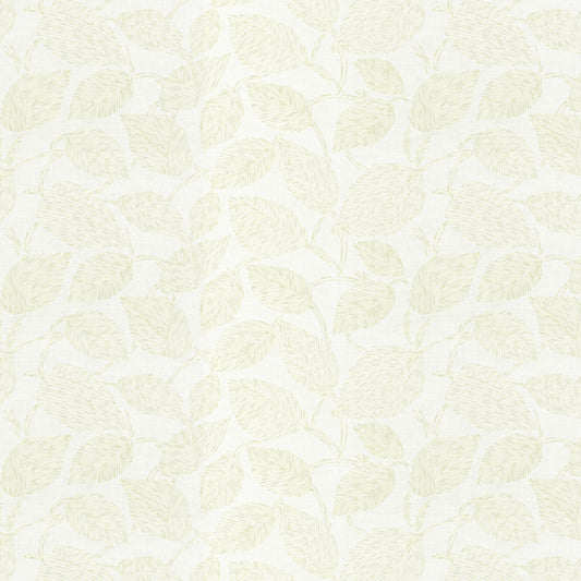 STOUT TEXTILES  MULTIPURPOSE,EMBROIDERIES TRANSITIONAL,, FLORAL BAMBOO   - CAIR-2