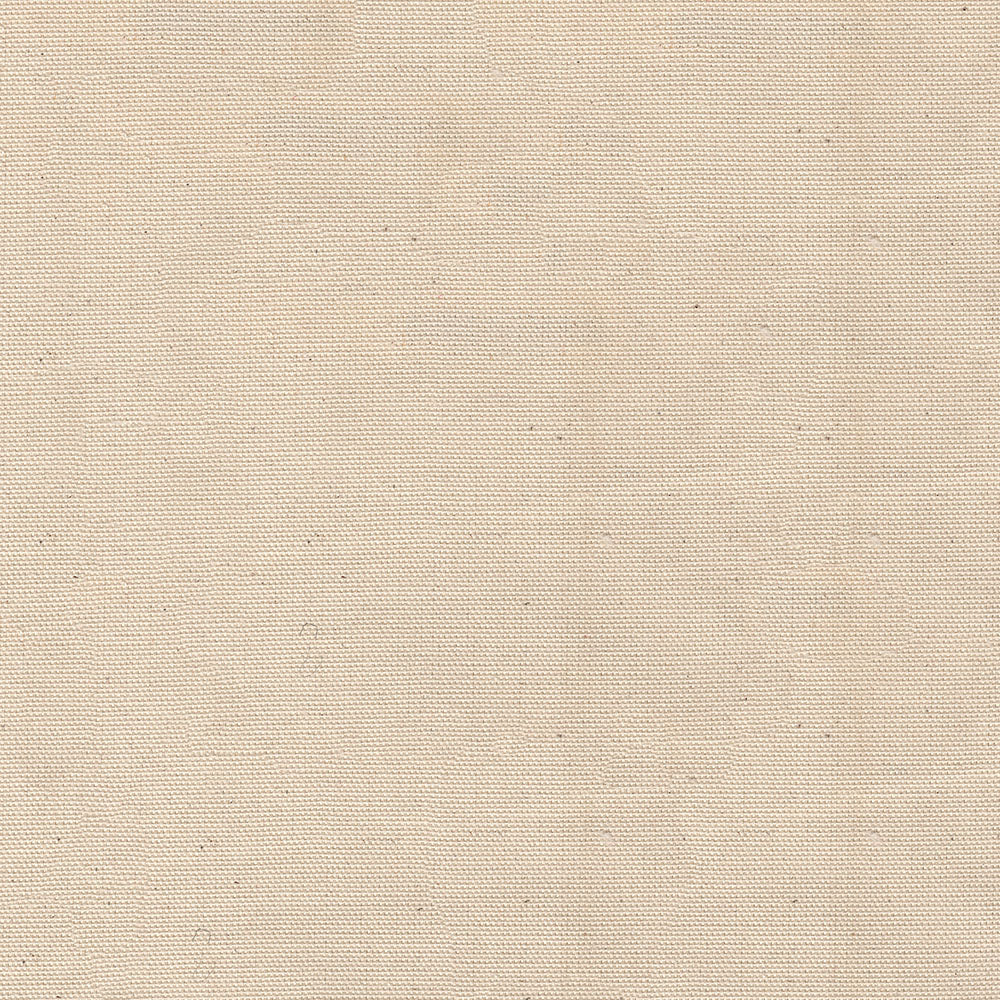 NICHOLASJOHN INC NJ-VASS Clear    Fabric - NJ25-465