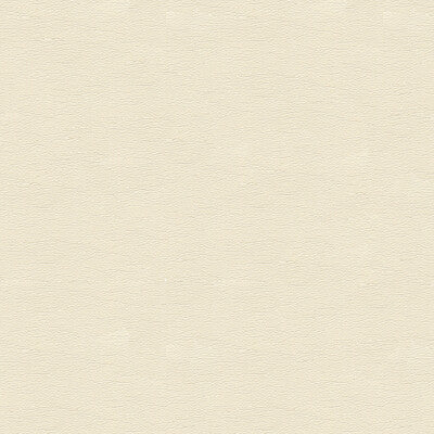 KRAVET DESIGN VINYL/FAUX LEATHER TEXTURE IVORY,IVORY,   - CARA.1.0