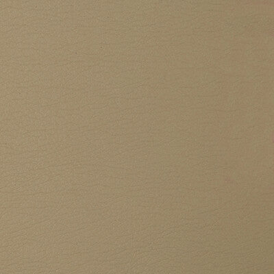 KRAVET DESIGN VINYL/FAUX LEATHER TEXTURE BEIGE,BEIGE,BEIGE   - CARA.116.0