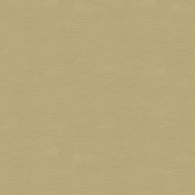 KRAVET DESIGN VINYL/FAUX LEATHER TEXTURE BEIGE,BEIGE,   - CARA.16.0