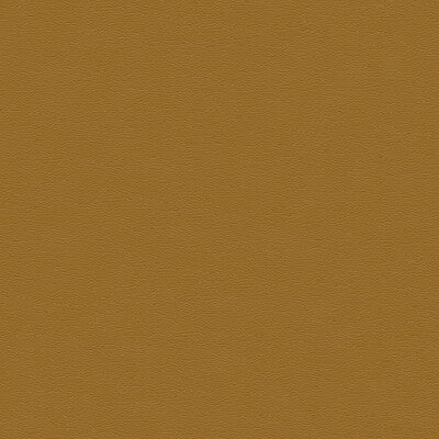 KRAVET DESIGN VINYL/FAUX LEATHER TEXTURE BEIGE,BEIGE,   - CARA.1616.0