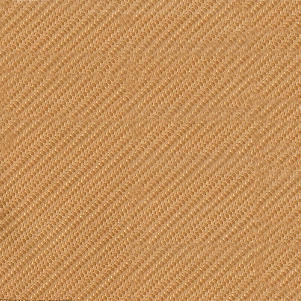 NICHOLASJOHN INC NJ-CABO FQ Orange Novelty   Fabric - NJ25-509