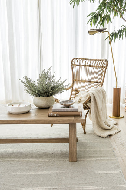 Sunlit living room with a rug, wicker chair, beige throw, wooden coffee table, potted plant, books, and brass floor lamp.