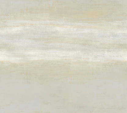 York Wallcoverings Carol Benson-Cobb Signature Serene Reflection Fog Wallpaper  Textures Blacks  Wallpaper - CC1253