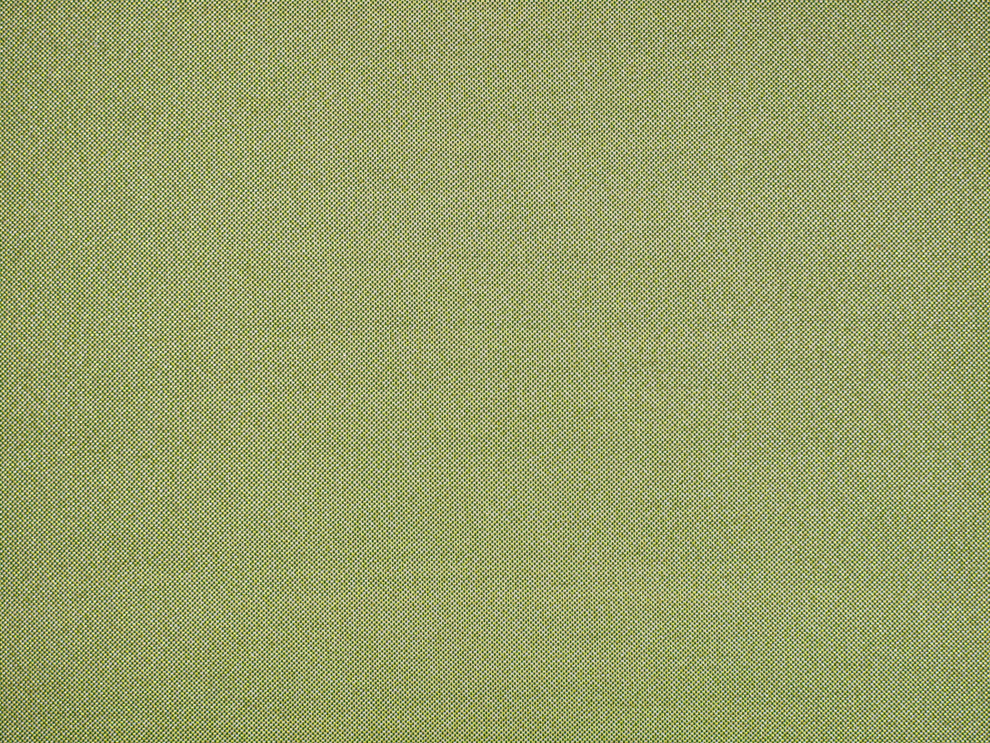 SCALAMANDRE OUTLET  FABRIC TABBY  FABRIC SPRING GREEN   - CC 1030230P