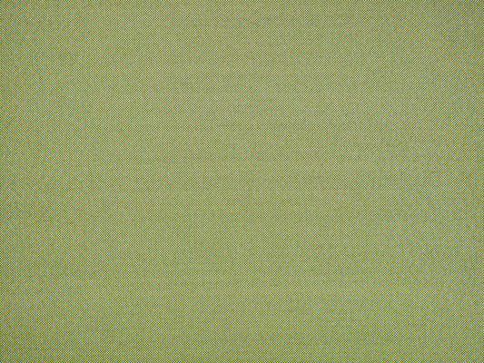 SCALAMANDRE OUTLET  FABRIC TABBY  FABRIC SPRING GREEN   - CC 1030230P