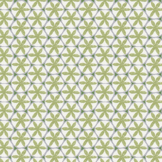 STOUT TEXTILES  MULTIPURPOSE,PRINT TRANSITIONAL,, GEOMETRIC APPLE,SEEDLING,SPRING   - CEIL-1