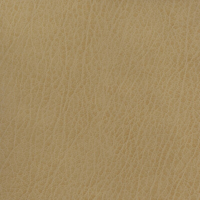 KRAVET BASICS VINYL/FAUX LEATHER TEXTURE BEIGE,WHEAT,   - CELINE.106.0