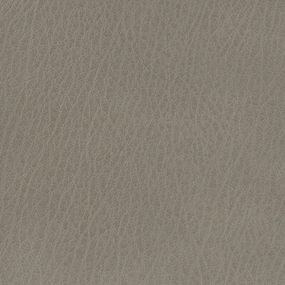 KRAVET BASICS VINYL/FAUX LEATHER TEXTURE GREY,GREY,   - CELINE.11.0