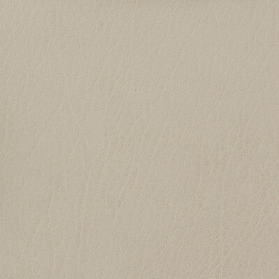 KRAVET BASICS VINYL/FAUX LEATHER TEXTURE IVORY,IVORY,   - CELINE.111.0