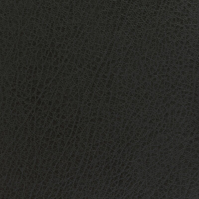 KRAVET BASICS VINYL/FAUX LEATHER TEXTURE CHARCOAL,CHARCOAL,   - CELINE.21.0