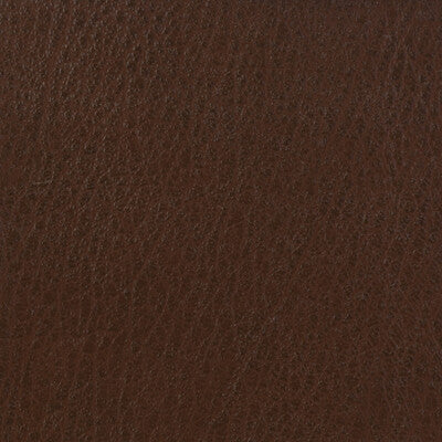 KRAVET BASICS VINYL/FAUX LEATHER TEXTURE BROWN,BROWN,   - CELINE.616.0