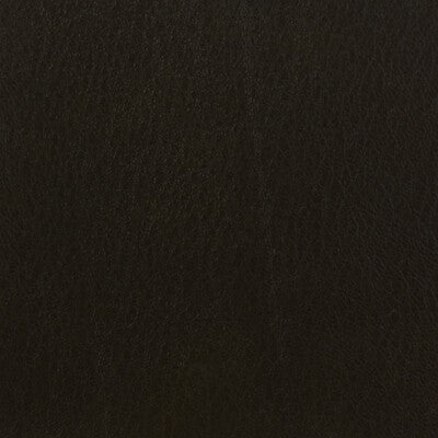 KRAVET BASICS VINYL/FAUX LEATHER TEXTURE BROWN,ESPRESSO,   - CELINE.66.0