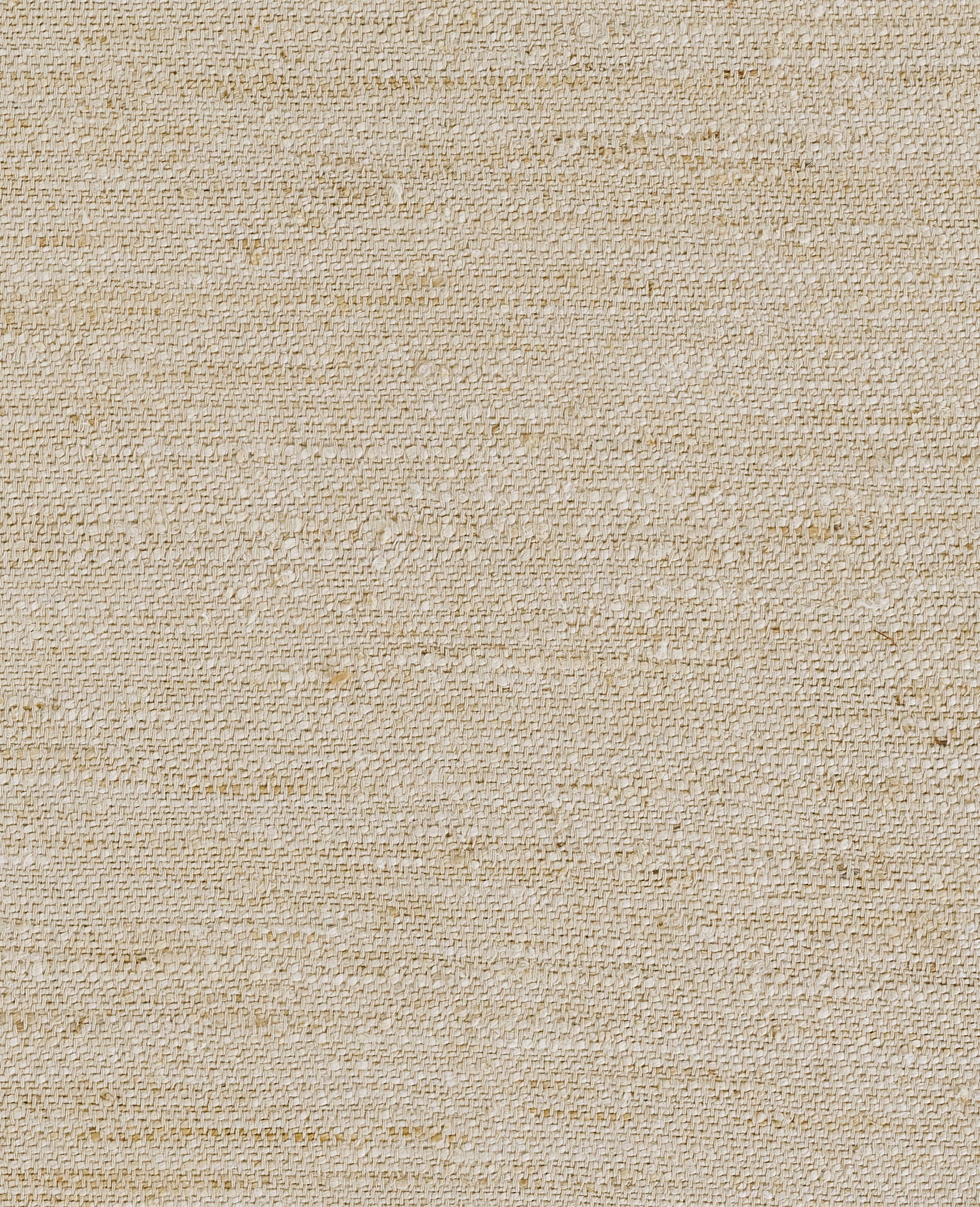 Neutral beige rug close-up with visible weave texture and subtle horizontal lines.