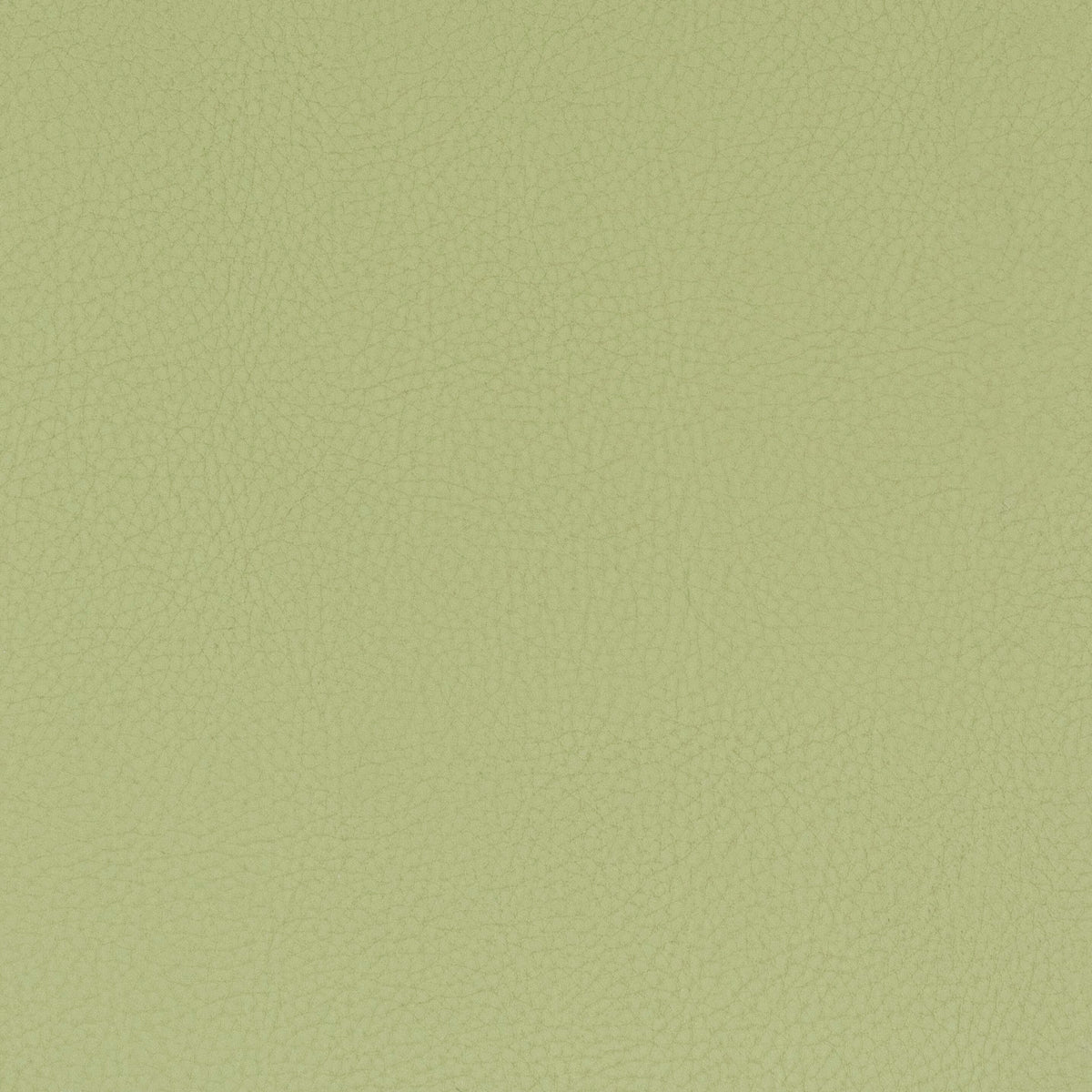 STOUT TEXTILES  FAUX LEATHER TRADITIONAL, SOLID PISTACHIO   - CLAS-8