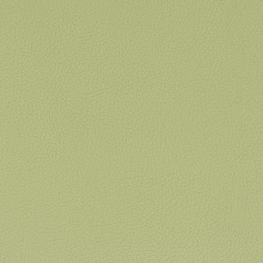 STOUT TEXTILES  FAUX LEATHER TRADITIONAL, SOLID PISTACHIO   - CLAS-8