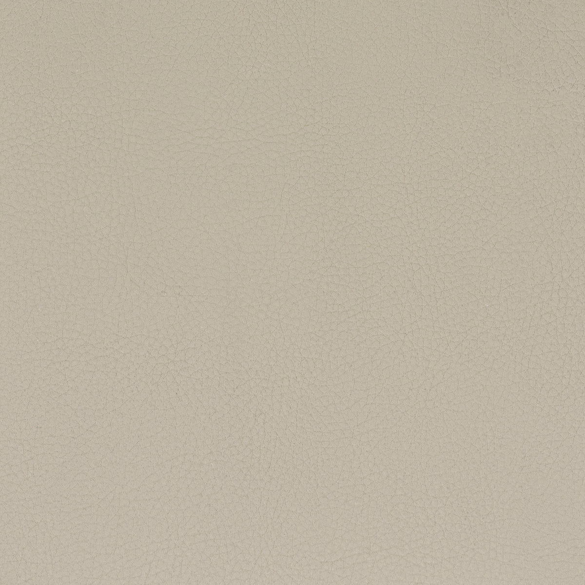 STOUT TEXTILES  FAUX LEATHER TRADITIONAL, SOLID CAMEL   - CLAS-9