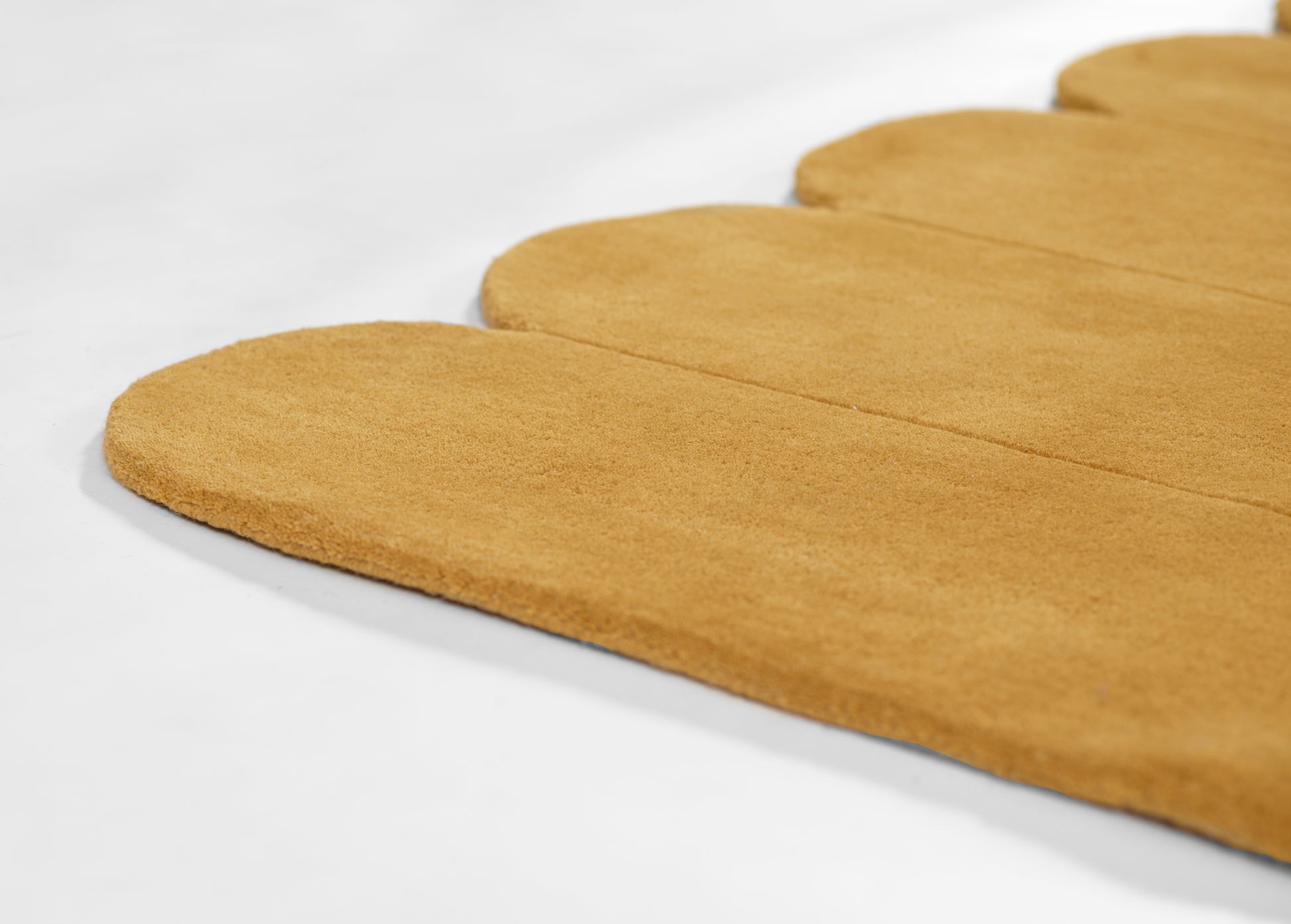 Rug laid flat on a white surface, 8' x 10'.