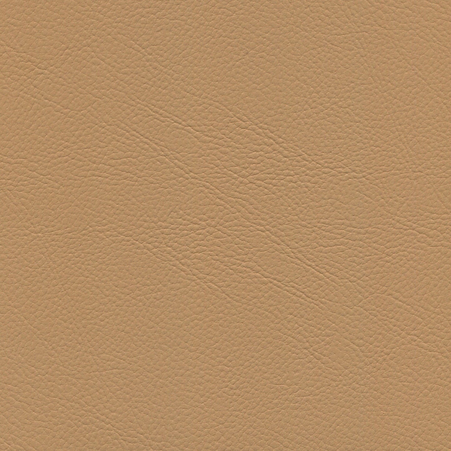 NICHOLASJOHN INC NJ-BENZ Java    Fabric - NJ25-2151